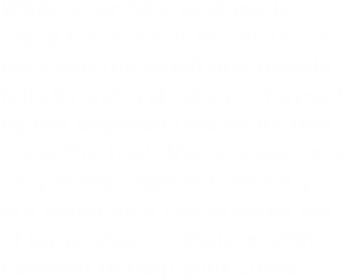 While your hike upslope is
aided for most of the distance
between the small and middle
falls by natural "stairs" formed
by the exposed tree roots that
cross the trail, there is also one
very steep segment where you
are aided by a constructed set
of large steps complete with
handrail to help your climb.